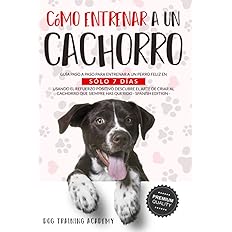 CÓMO ENTRENAR A UN CACHORRO CÓMO ENTRENAR A UN CACHORRO